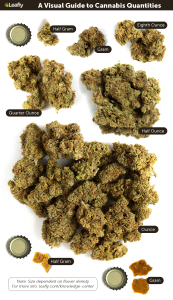 A Visual Guide to Cannabis Quantities